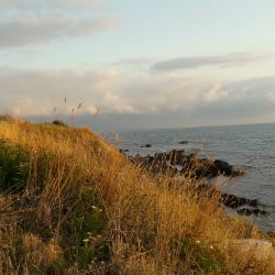 20160717_062617