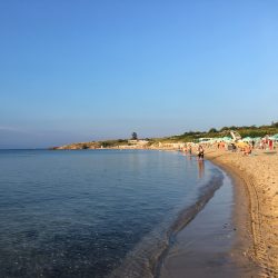 IMG_3052